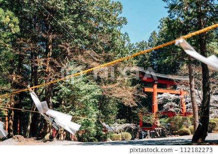 Fujiyoshida Kitaguchi Hongu Fuji Sengen Shrine Torii gate near Fuji Mountain in Yamanashi, Japan 112182273