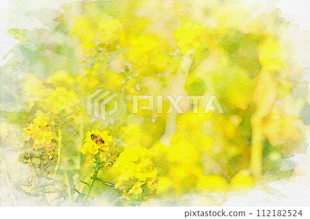[Aichi Prefecture] Watercolor painting of a field of rape blossoms at Aichi Ranch in Nisshin City 112182524