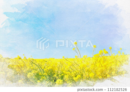 [Aichi Prefecture] Watercolor painting of a field of rape blossoms at Aichi Ranch in Nisshin City 112182526