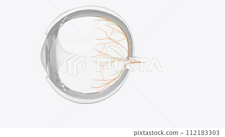 eye of Cardicvascular System 3d eye of Cardicvascular System 3d 112183303