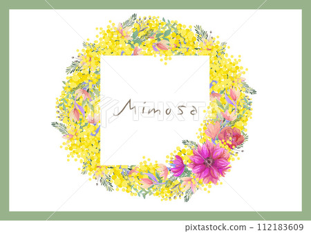 Mimosa acacia vector material frame bouquet wreath dried flower bouquet Mimosa acacia vector material frame bouquet wreath dried flower bouquet 112183609