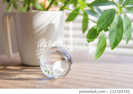 室內植物和放在窗邊的玻璃球 室內植物和放在窗邊的玻璃球 112183782