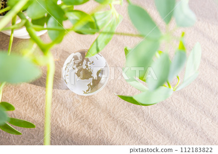 Houseplants and a glass globe placed by the window Houseplants and a glass globe placed by the window 112183822