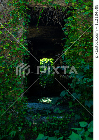 自然與窗戶 112184689