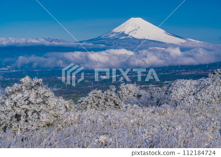 (Shizuoka Prefecture) Mt. Fuji seen from the snowy Izu Skyline (Shizuoka Prefecture) Mt. Fuji seen from the snowy Izu Skyline 112184724