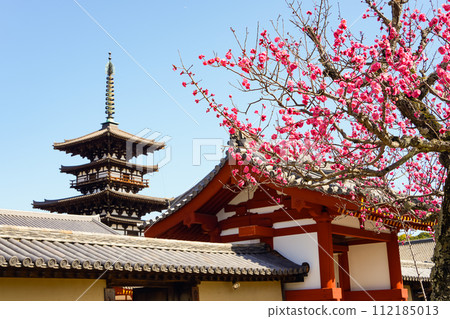 [奈良縣]奈良市藥師寺（2024年2月28日拍攝） 112185013