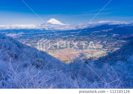 (Shizuoka Prefecture) Tanna Basin and Mt. Fuji seen from the snowy Izu Skyline Nishi-Tanna Observation Deck (Shizuoka Prefecture) Tanna Basin and Mt. Fuji seen from the snowy Izu Skyline Nishi-Tanna Observation Deck 112185126