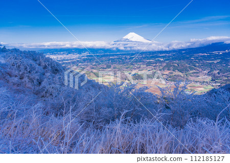 （靜岡縣）從白雪皚皚的伊豆天際線西丹納展望台看到的丹納盆地和富士山 112185127