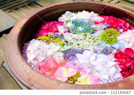 [愛知縣] 稻澤市大塚南正海寺的繡球花 112185687