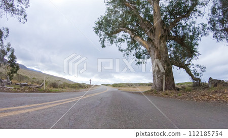 In this serene winter scene, a vehicle carefully makes its way along Los Osos Valley Road and Pecho Valley Road within Montana de Oro State Park. 112185754