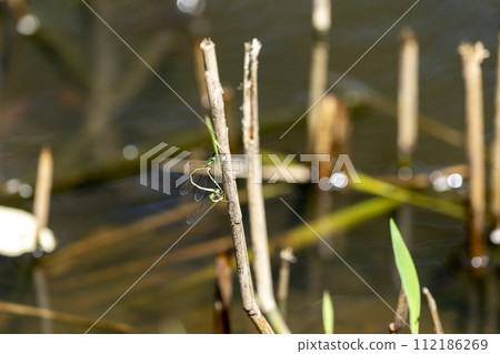 自然豐富的河景 112186269