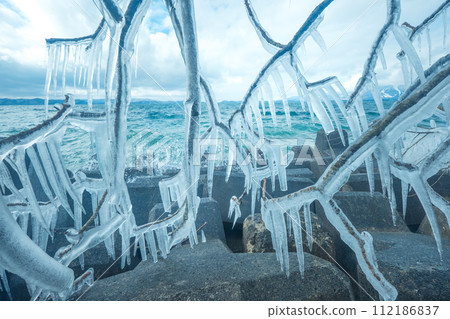 tree branches frozen in the cold tree branches frozen in the cold 112186837