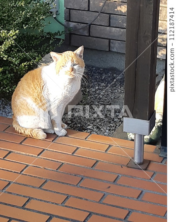 Color Flowing River Transparent (Registered in March 2024) 112187414