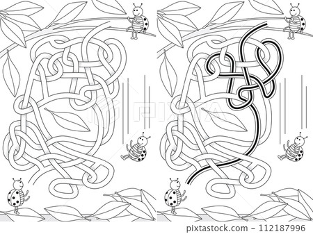 Ladybug maze 112187996