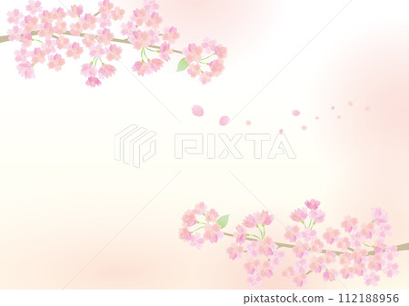 淡櫻花背景圖 淡櫻花背景圖 112188956