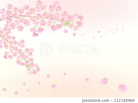 Background illustration of pale cherry blossoms with falling petals 112188960