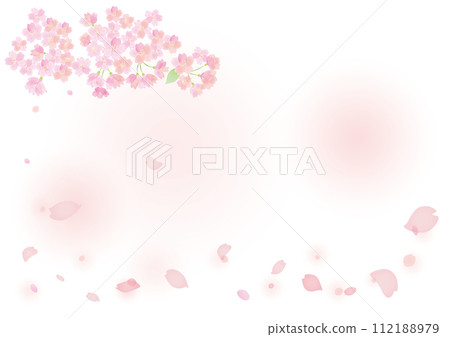 櫻花花瓣飄落的背景圖 櫻花花瓣飄落的背景圖 112188979