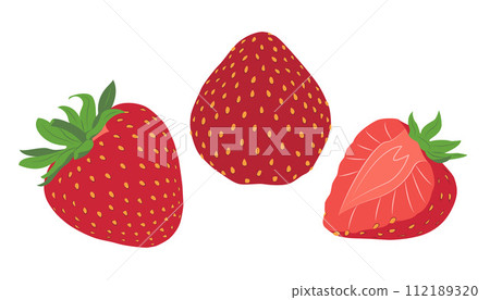 Strawberry. Red sweet berries. Hand drawn flat style 112189320