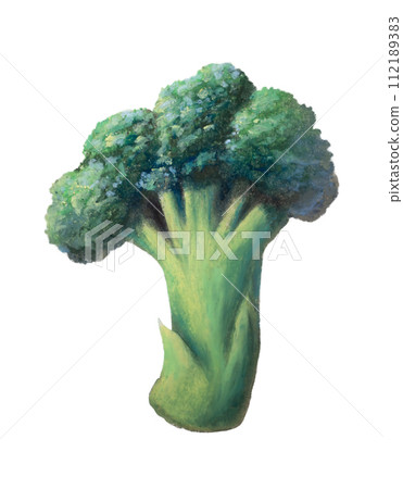 Painting of some broccoli stems and florets 112189383