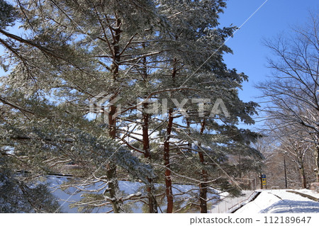 Winter campsite fresh snow morning 112189647