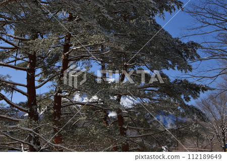 Winter campsite fresh snow morning 112189649