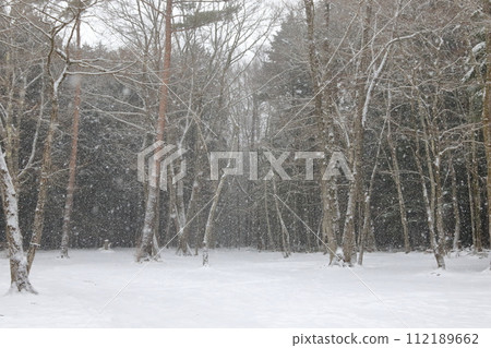 Winter campsite fresh snow morning Winter campsite fresh snow morning 112189662