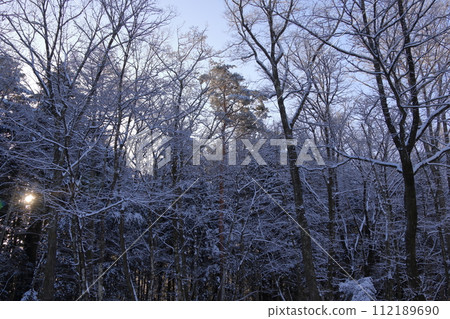 Winter campsite fresh snow morning Winter campsite fresh snow morning 112189690