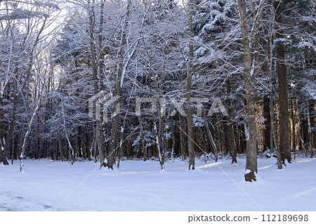 Winter campsite fresh snow morning Winter campsite fresh snow morning 112189698