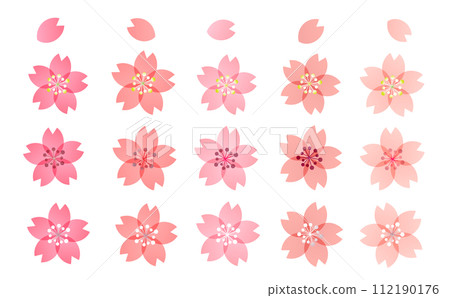 15 colorful variations of cherry blossom illustrations that can be used as a focal point or as a design. 15 colorful variations of cherry blossom illustrations that can be used as a focal point or as a design. 112190176