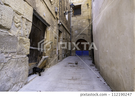 Detail of cat abandoned and alone on the street, animal abuse 112190247