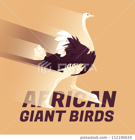 An African ostrich runs. Gradient of movement speed. Safari, tourism and adventure tour. The wild nature. 112190838