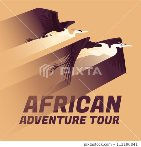 Two African herons are flying. Gradient of movement speed. Safari, tourism and adventure tour. The wild nature. 112190841