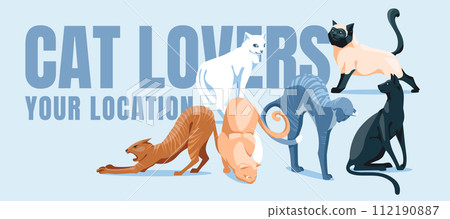 Set of different cats. Veterinary poster or pet food shop design. Vector flat illustration. 112190887
