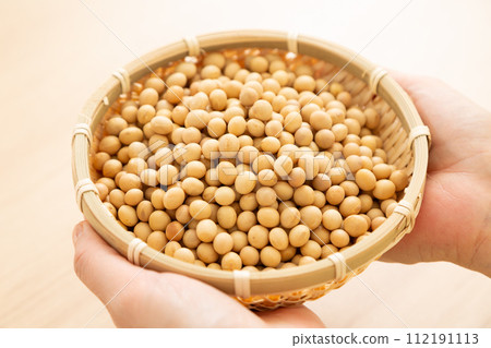 Woman's hand holding soybeans 112191113
