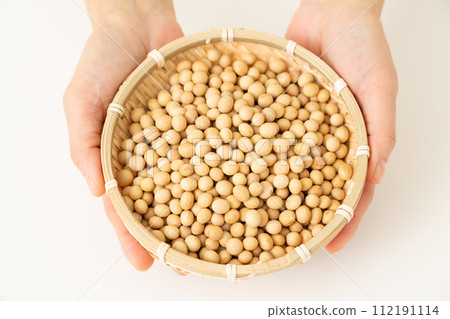Woman's hand holding soybeans 112191114