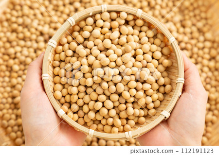 Woman's hand holding soybeans 112191123