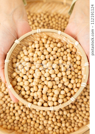 Woman's hand holding soybeans Woman's hand holding soybeans 112191124