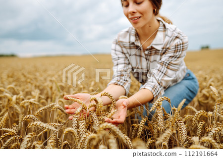 Young woman farmer walking across field and running her hand through golden ears of wheat harvest. 112191664