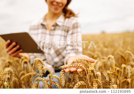A young female agronomist with a modern tablet checks the quality. Gardening concept, harvesting. 112191695
