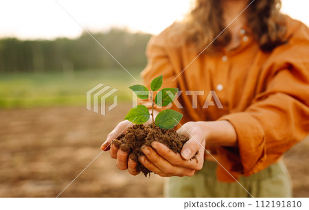 Farmer's hand holding a green young plant and earthy handful. Concepts of ecology and gardening. 112191810