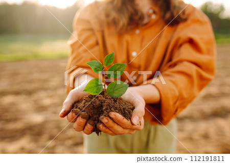 Farmer's hand holding a green young plant and earthy handful. Concepts of ecology and gardening. 112191811