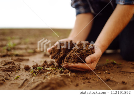 Close-up of a farmer's strong hands on a black field. Concept of gardening, ecology. Close-up of a farmer's strong hands on a black field. Concept of gardening, ecology. 112191892