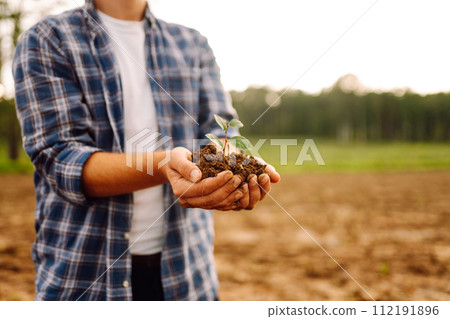 A man holds a green plant in his hands. Growing food. Agriculture concept. 112191896
