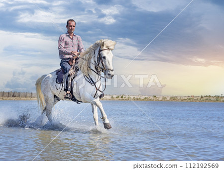rider and horse on the beach 112192569