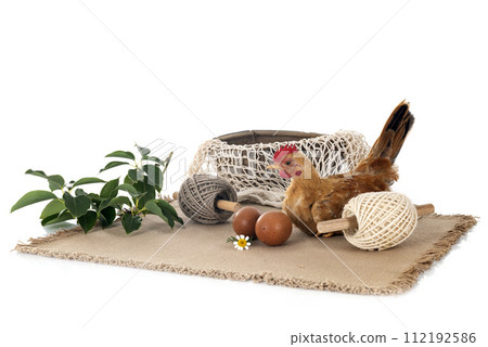 nature decoration and chicken nature decoration and chicken 112192586