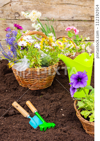 Spring garden decoration with flowers Spring garden decoration with flowers 112192914