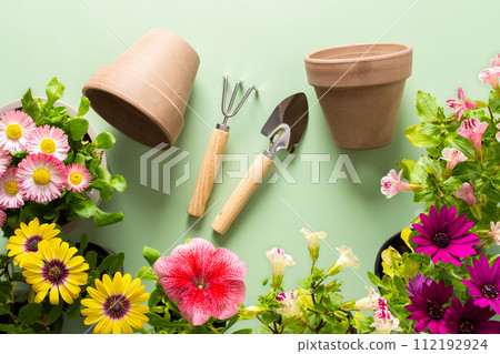 Flowers on a green background 112192924