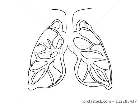 Lungs one line drawing vector illustration. 112193437