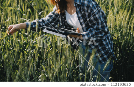Smart farm. Farmer with tablet in the field. Agriculture, gardening or ecology concept. Harvesting. Agro business. 112193620