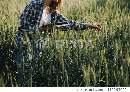 Smart farm. Farmer with tablet in the field. Agriculture, gardening or ecology concept. Harvesting. Agro business. 112193621